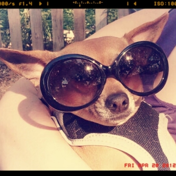 Meet your Posher, Stacey - Picture 5 of 6